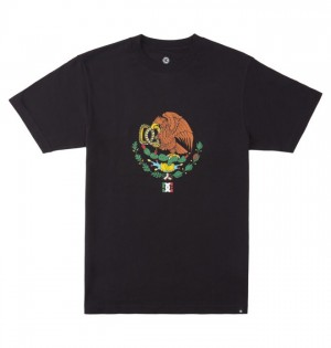 DC Alexis Ramirez Heritage Men's T Shirts Black | SJZPNF169