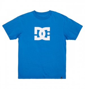 DC DC Star Men's T Shirts Blue | MZYAQN132