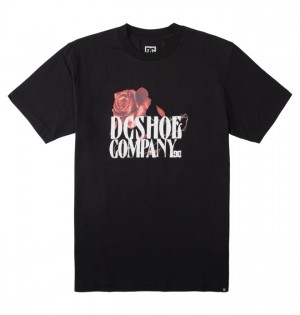 DC Fanatic Heritage Men's T Shirts Black | OBQUPY095