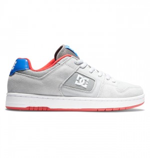 DC Manteca 4 Men's Skate Shoes Grey | EBPMDC869