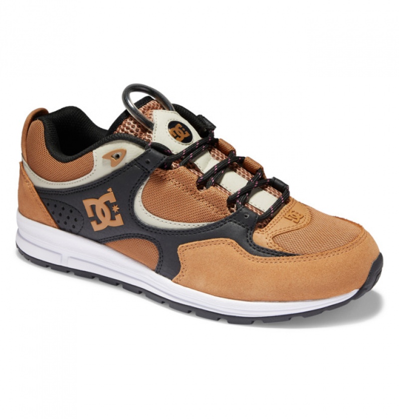 DC Kalis Lite Men's Skate Shoes Brown / Black / White | ACTVBH790