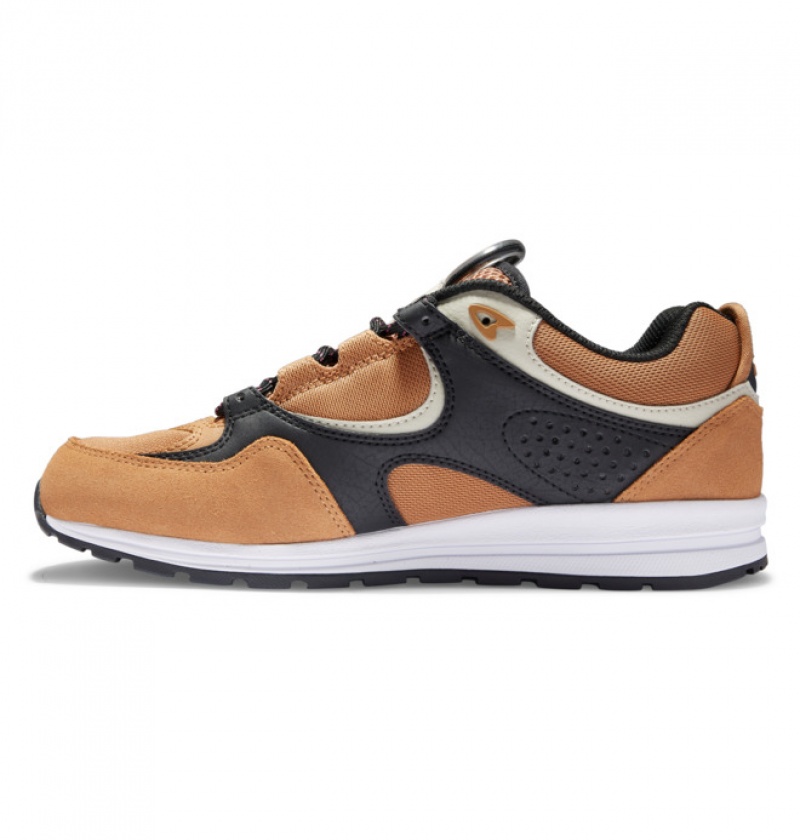 DC Kalis Lite Men's Skate Shoes Brown / Black / White | ACTVBH790