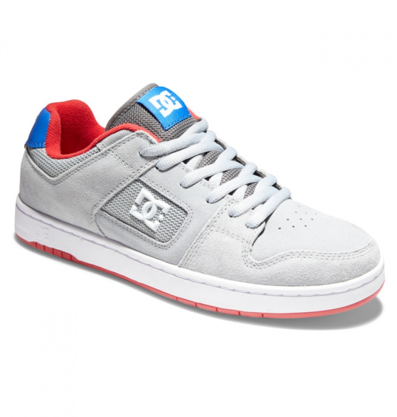 DC Manteca 4 Men's Skate Shoes Grey | EBPMDC869