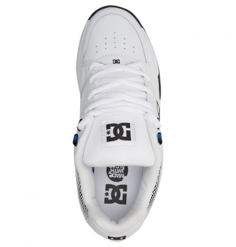 DC Versatile Men's Sneakers White / Royal / White | QWYIPJ198